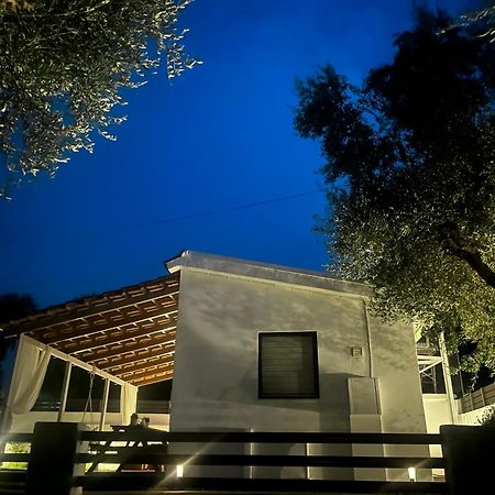 טרגקי Joyas Cosy Apartment מראה חיצוני תמונה